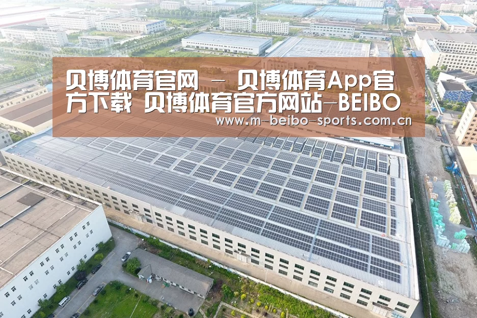 案例展示二
