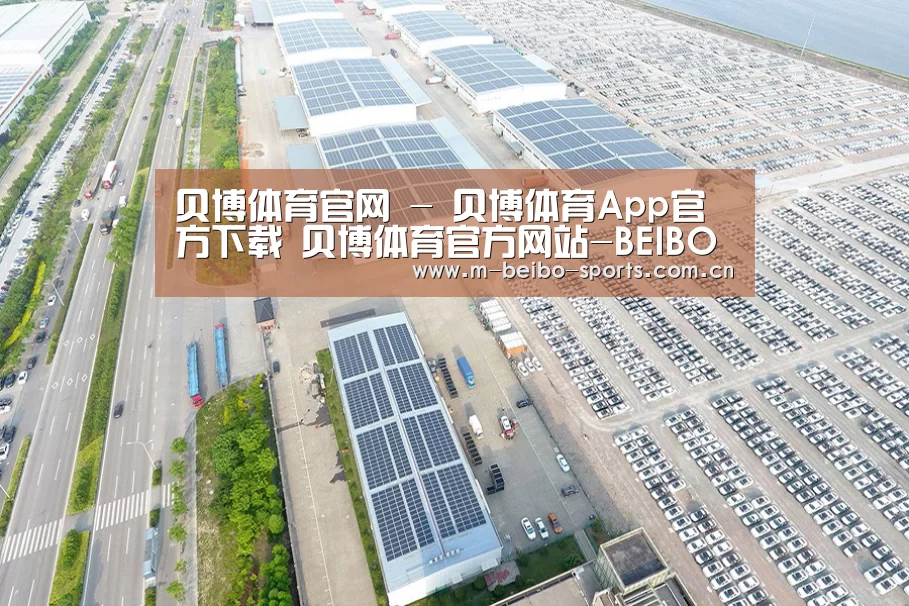 案例展示一