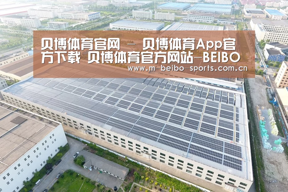 案例展示三
