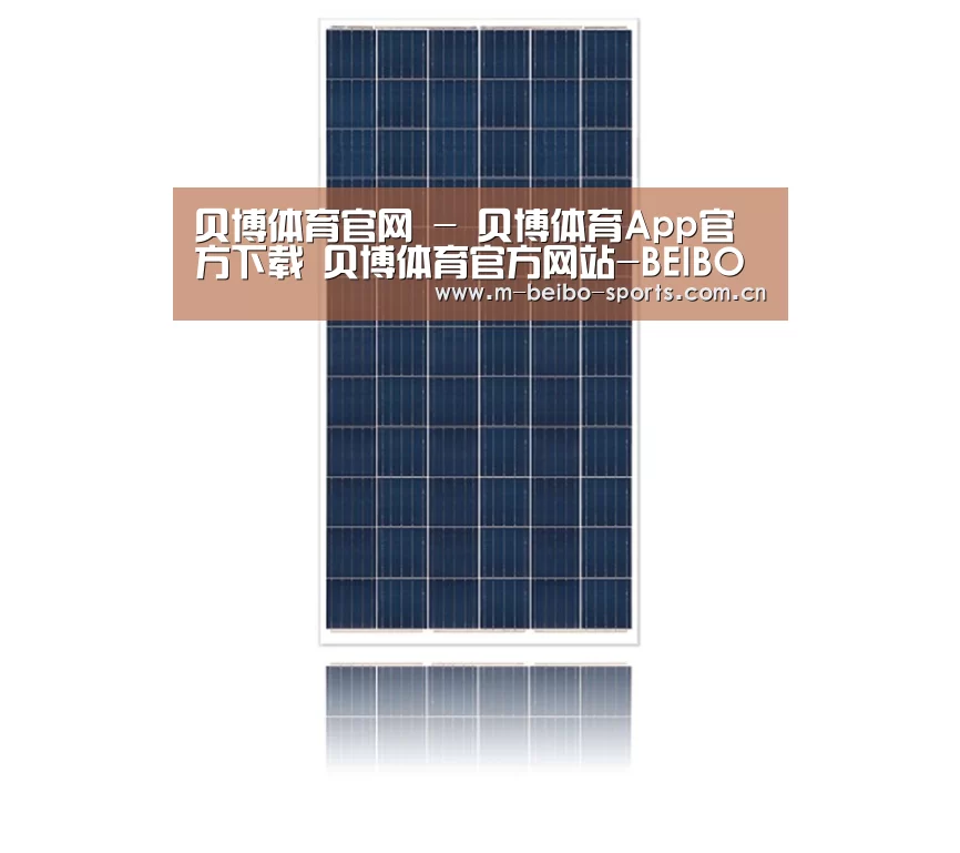 产品名称一