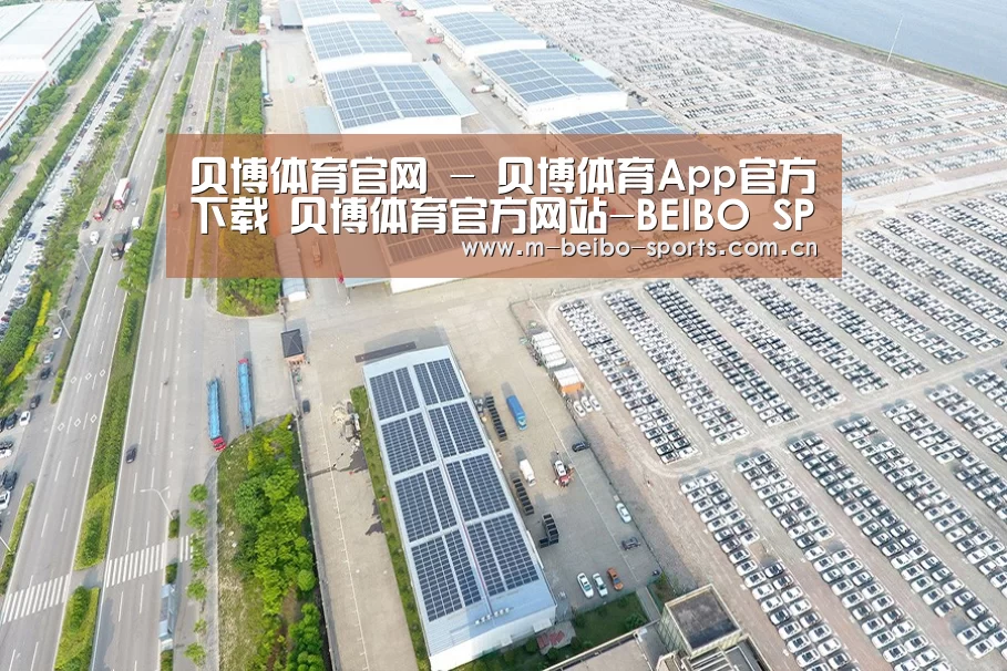 案例展示四