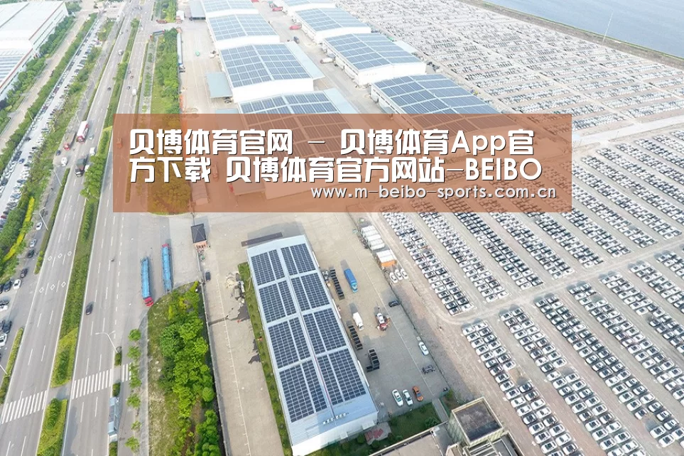 案例展示三