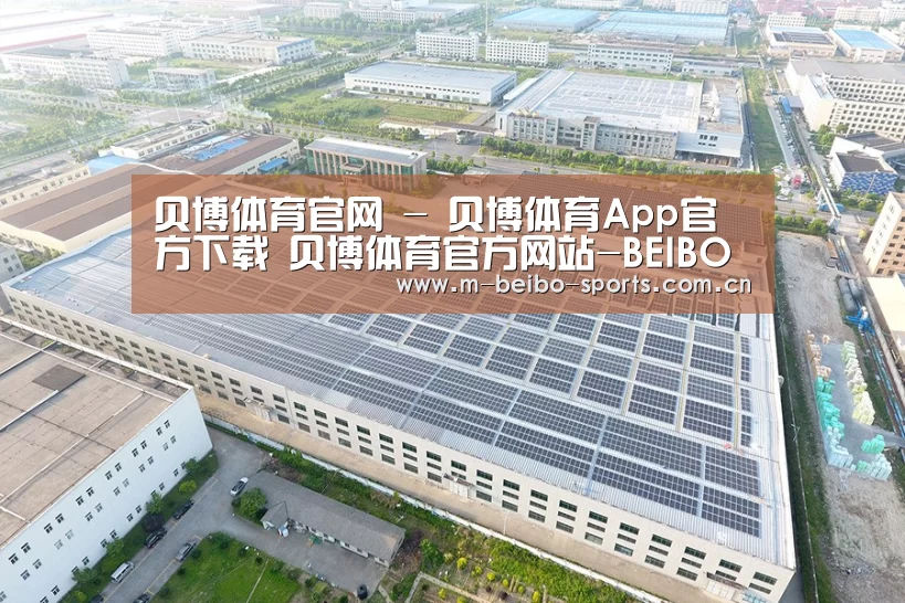 案例展示四
